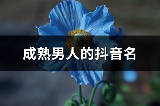 成熟男人的抖音名(精选418个)