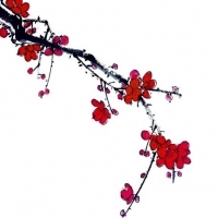 梅花微信头像最吉利(优选18张)