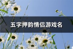 五字押韵情侣游戏名(优选222个)