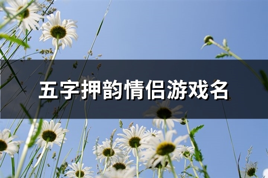 五字押韵情侣游戏名(优选222个)