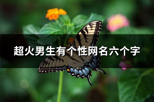 超火男生有个性网名六个字(共319个) 超火男生有个性网名六个字(共319个)