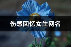 伤感回忆女生网名(精选175个)