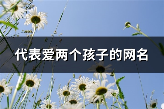 代表爱两个孩子的网名(精选86个)
