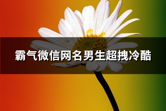 霸气微信网名男生超拽冷酷(精选364个)