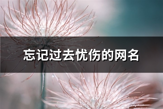 忘记过去忧伤的网名(精选227个)