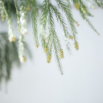微信头像阳光明亮图片(优选18张)