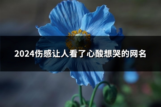 2024伤感让人看了心酸想哭的网名(精选412个)