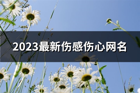 2023最新伤感伤心网名(共713个) 2023最新伤感伤心网名(共713个)