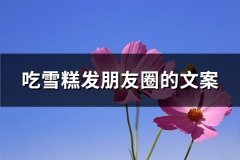吃雪糕发朋友圈的文案(优选123句)