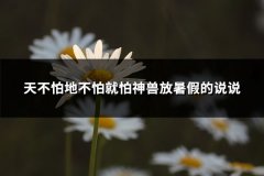 天不怕地不怕就怕神兽放暑假的说说(优选40句)