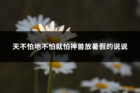天不怕地不怕就怕神兽放暑假的说说(优选40句)