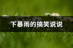 下暴雨的搞笑说说(实用65句)