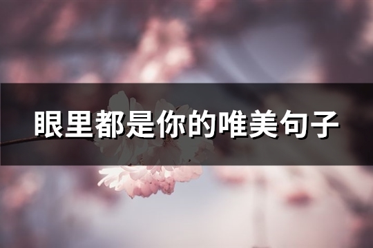 眼里都是你的唯美句子(通用79句)