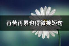 再苦再累也得微笑短句(优选82句)