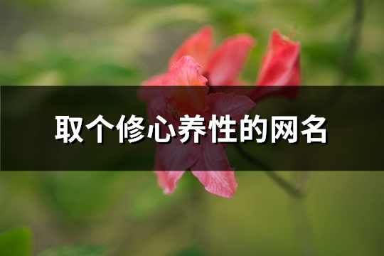 取个修心养性的网名(共387个)