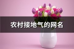 农村接地气的网名(精选447个)