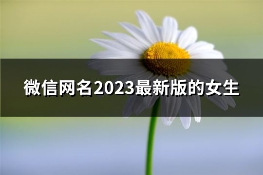 微信网名2023最新版的女生(2496个)