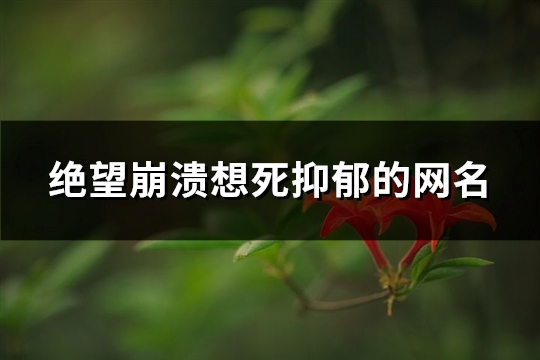 绝望崩溃想死抑郁的网名(共420个)