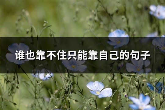 谁也靠不住只能靠自己的句子(通用80句)