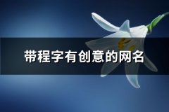 带程字有创意的网名(共85个)