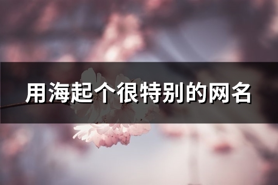 用海起个很特别的网名(优选91个)
