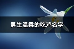 男生温柔的吃鸡名字(精选216个)