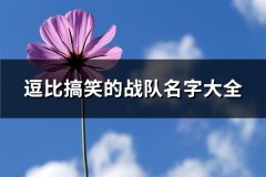 逗比搞笑的战队名字大全(138个)