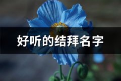 好听的结拜名字(共80个)