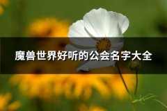 魔兽世界好听的公会名字大全(共398个)