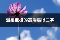 温柔至极的高端局id二字(精选205个)
