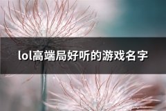 lol高端局好听的游戏名字(优选396个)