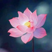 80后女人最适合的微信头像女(精选18张)