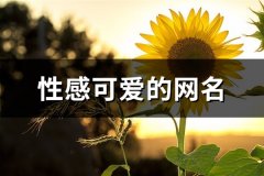 性感可爱的网名(共141个)