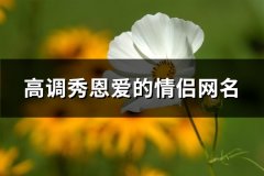 高调秀恩爱的情侣网名(共305个)