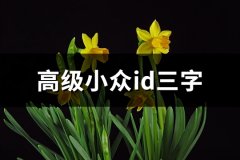 高级小众id三字(85个)