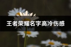 王者荣耀名字高冷伤感(精选179个)
