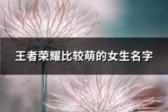 王者荣耀比较萌的女生名字(精选281个)