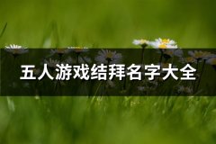五人游戏结拜名字大全(共169个)