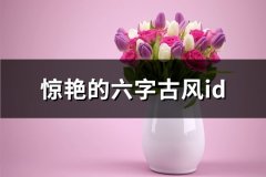 惊艳的六字古风id(优选507个)