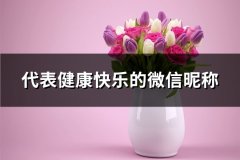 代表健康快乐的微信昵称(488个)