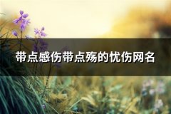 带点感伤带点殇的忧伤网名(共216个)