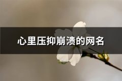 心里压抑崩溃的网名(共196个)