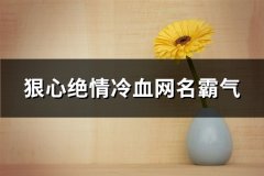 狠心绝情冷血网名霸气(160个)