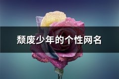 颓废少年的个性网名(286个)