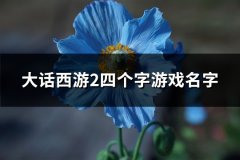 大话西游2四个字游戏名字(优选293个)