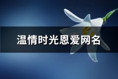 温情时光恩爱网名(优选310个)