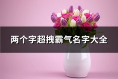 两个字超拽霸气名字大全(共541个)