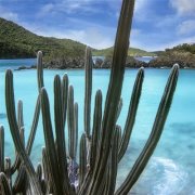 幸福满满的微信头像风景(共20张)