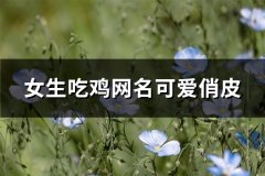 女生吃鸡网名可爱俏皮(共52个)