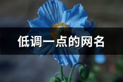 低调一点的网名(精选118个)
